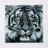 Glasbild 80 X 80 Cm Tiger Face