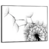 Wandbild 70 X 50 Cm Dandelion