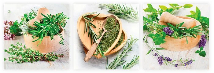 Glasbild 3tlg. Fresh Herbs