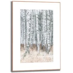 Wandbild 50 X 70 Cm Birch Trees
