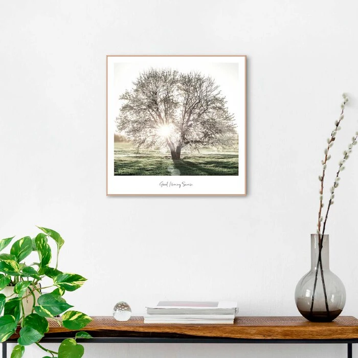 Wandbild 50 X 50 Cm Morgensonne – Bild 2