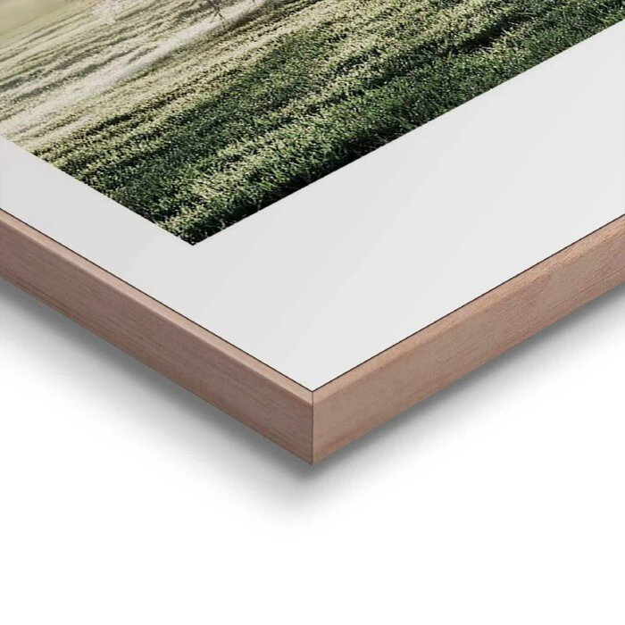 Wandbild 50 X 50 Cm Morgensonne – Bild 4