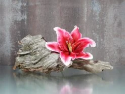 Glasbild 30 X 40 Cm Orchid I