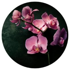 Glasbild 30 X 30 Cm Dark Flowers