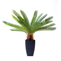 Kunstpflanze Cycas Tree 61200