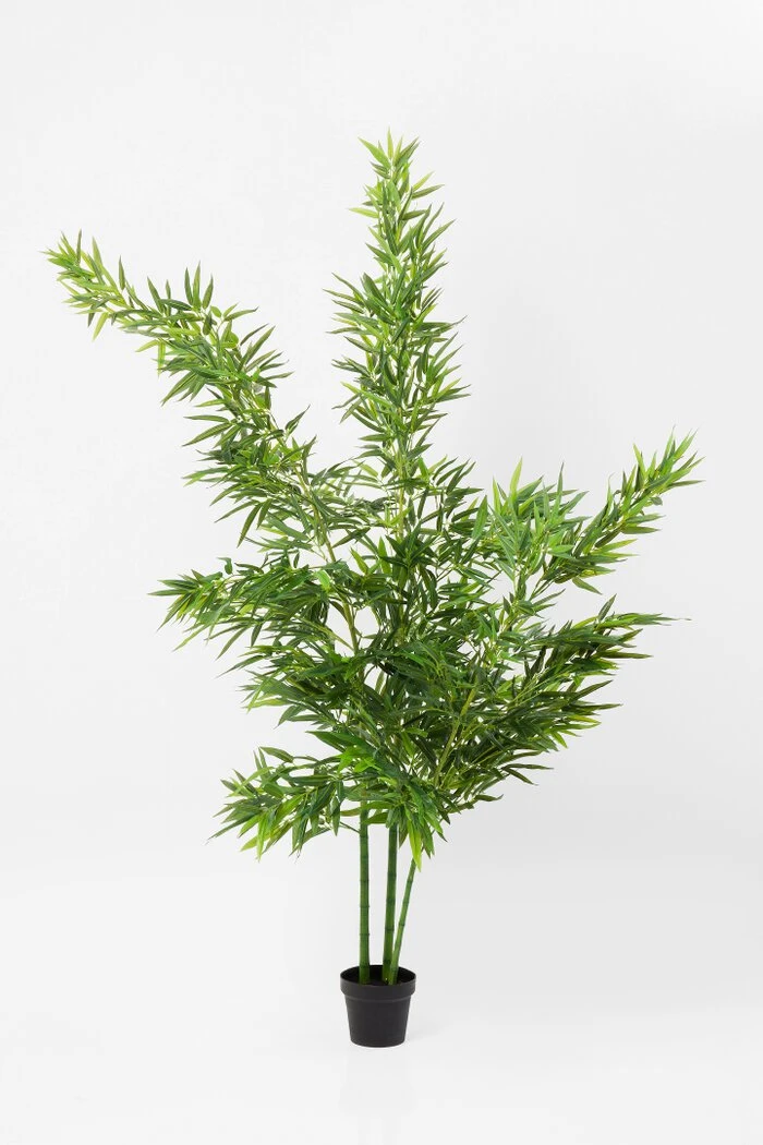 Deko Pflanze 64002 Bamboo Tree