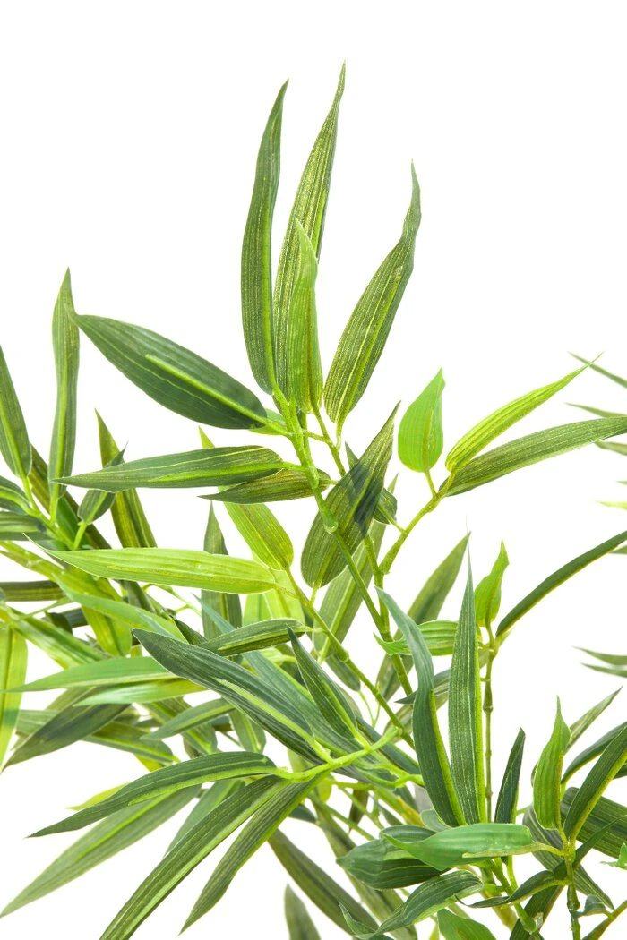 Deko Pflanze 64002 Bamboo Tree – Bild 2