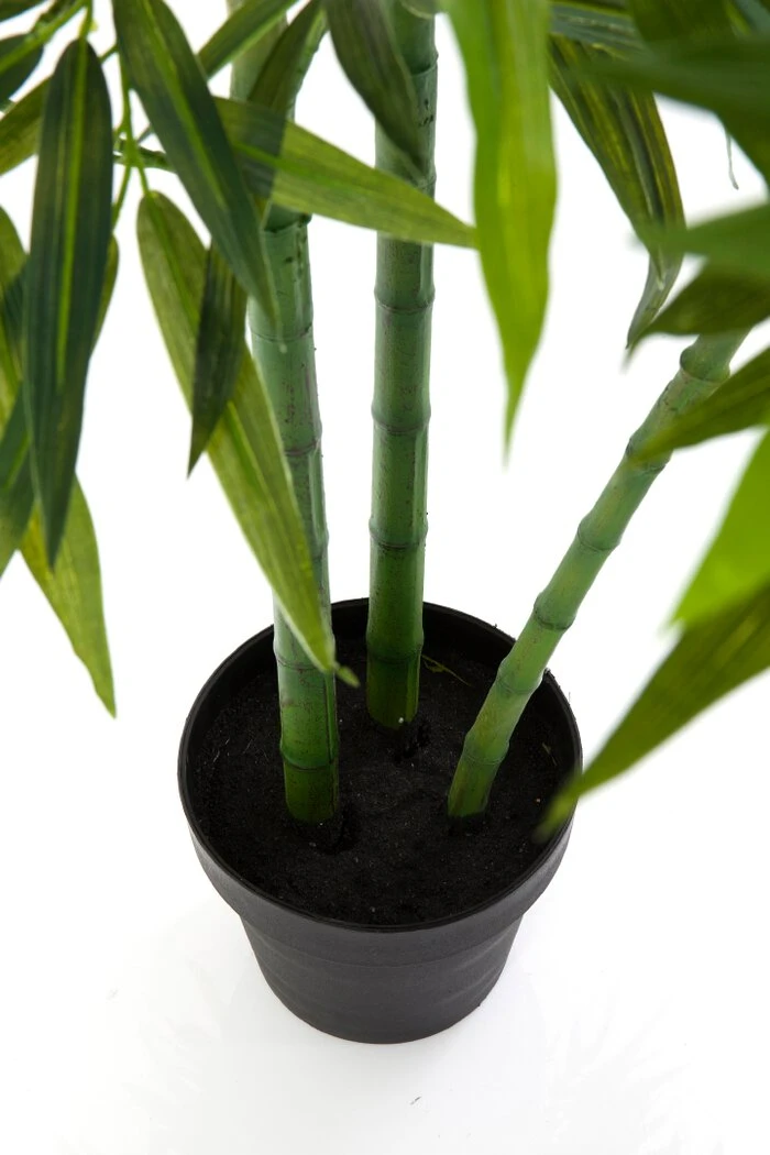 Deko Pflanze 64002 Bamboo Tree – Bild 4