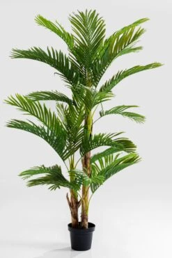 Deko Pflanze 51789 Palm Tree