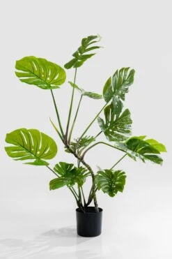 Deko Pflanze 51683 Monstera
