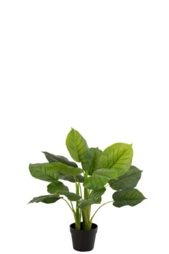 Kunstpflanze Pothos Im Topf 55 Cm