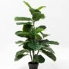 Kunstpflanze Fiddle Leaf 60723