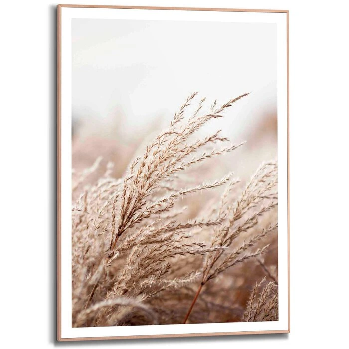 Wandbild 50 X 70 Cm Gräser