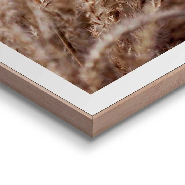 Wandbild 50 X 70 Cm Gräser – Bild 4