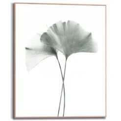 Wandbild 40 X 50 Cm Ginko Blatt