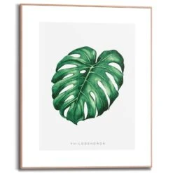 Wandbild 40 X 50 Cm Monstera Leaf