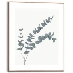Wandbild 40 X 50 Cm Eucalyptus