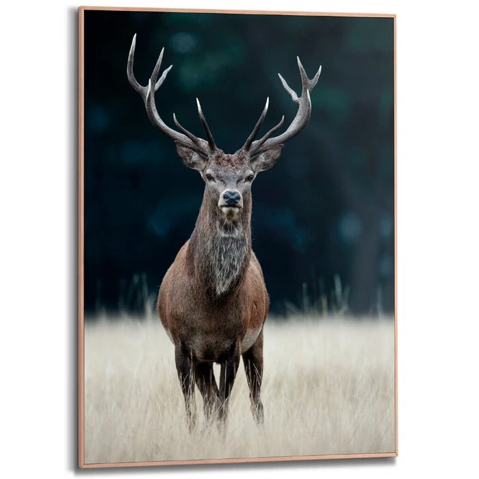 Wandbild 50 X 70 Cm Deer