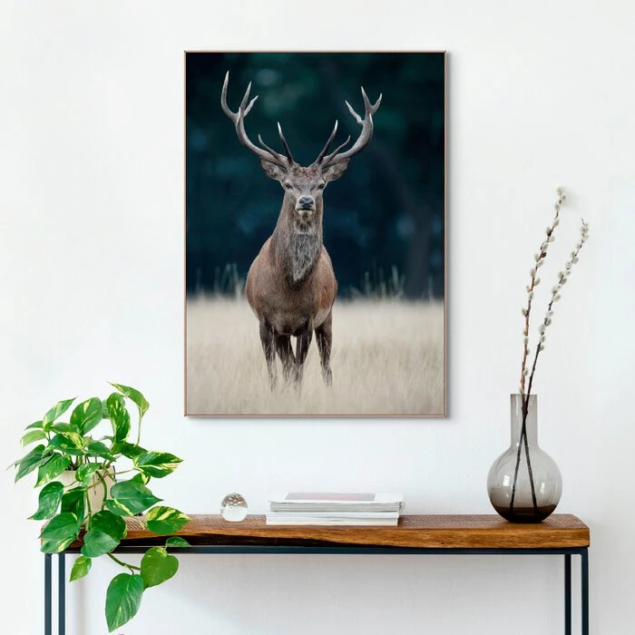 Wandbild 50 X 70 Cm Deer – Bild 2