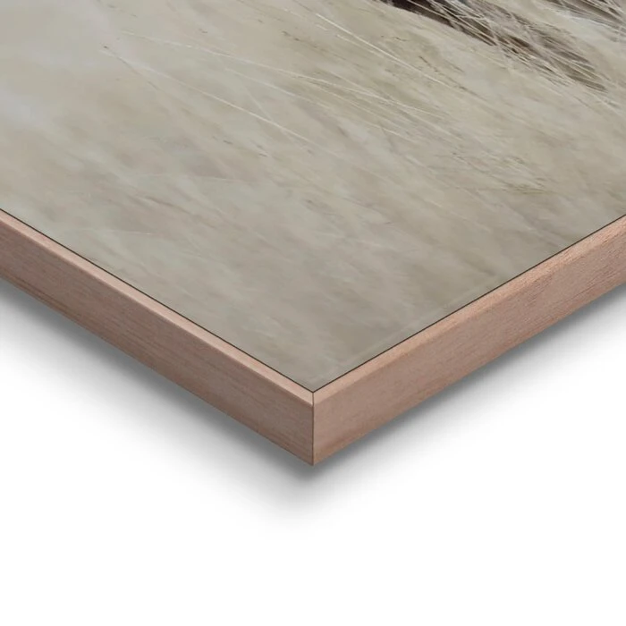 Wandbild 50 X 70 Cm Deer – Bild 4