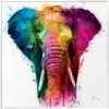 Wandbild 70 X 70 Cm Africa Pop