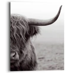 Wandbild 40 X 50 Cm Highlander