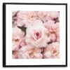 Wandbild 53 X 53 Cm Pink Peonies Vintage