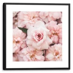 Wandbild 53 X 53 Cm Pink Peonies Vintage