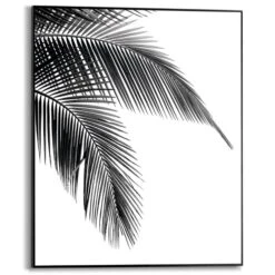 Wandbild 40 X 50 Cm Palm Leaf